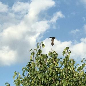 Meet your Posher, Mario